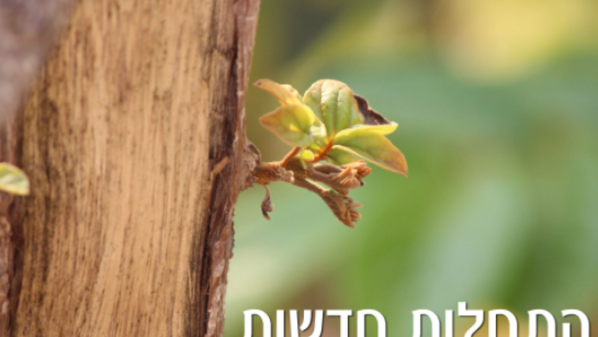 התחלות חדשות